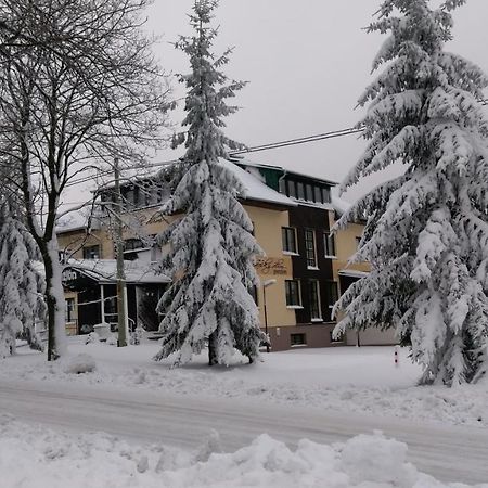 Penzion Svycarsky Dum Sneznik Exterior photo